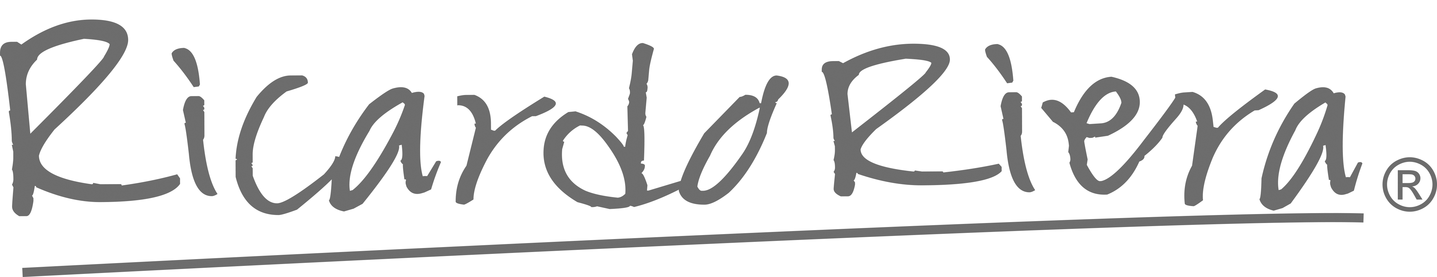 Logo Ricardo Riera